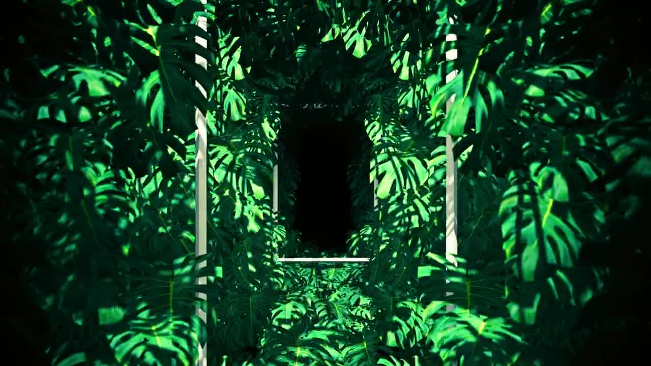 Free Stock Video Vertical Frames Between Tropical Tree Leaves Live Wallpaper