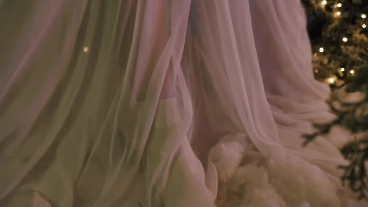Free Stock Video Veil Of A Girls Dress Among Christmas Trees Live Wallpaper