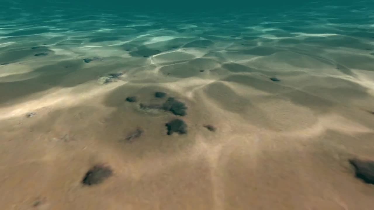 Free Stock Video Underwater D Beach With Sand And Rocks Live Wallpaper