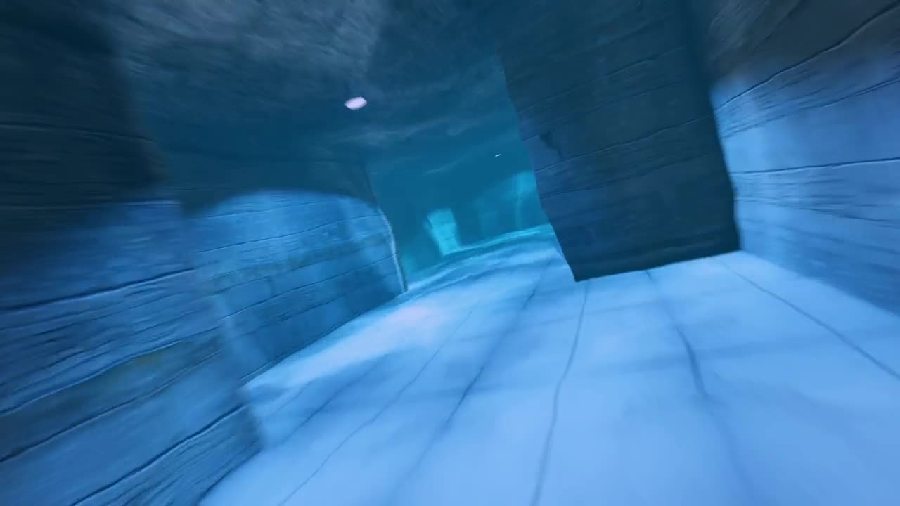 Free Stock Video Underwater Corridors In A D Animation Live Wallpaper