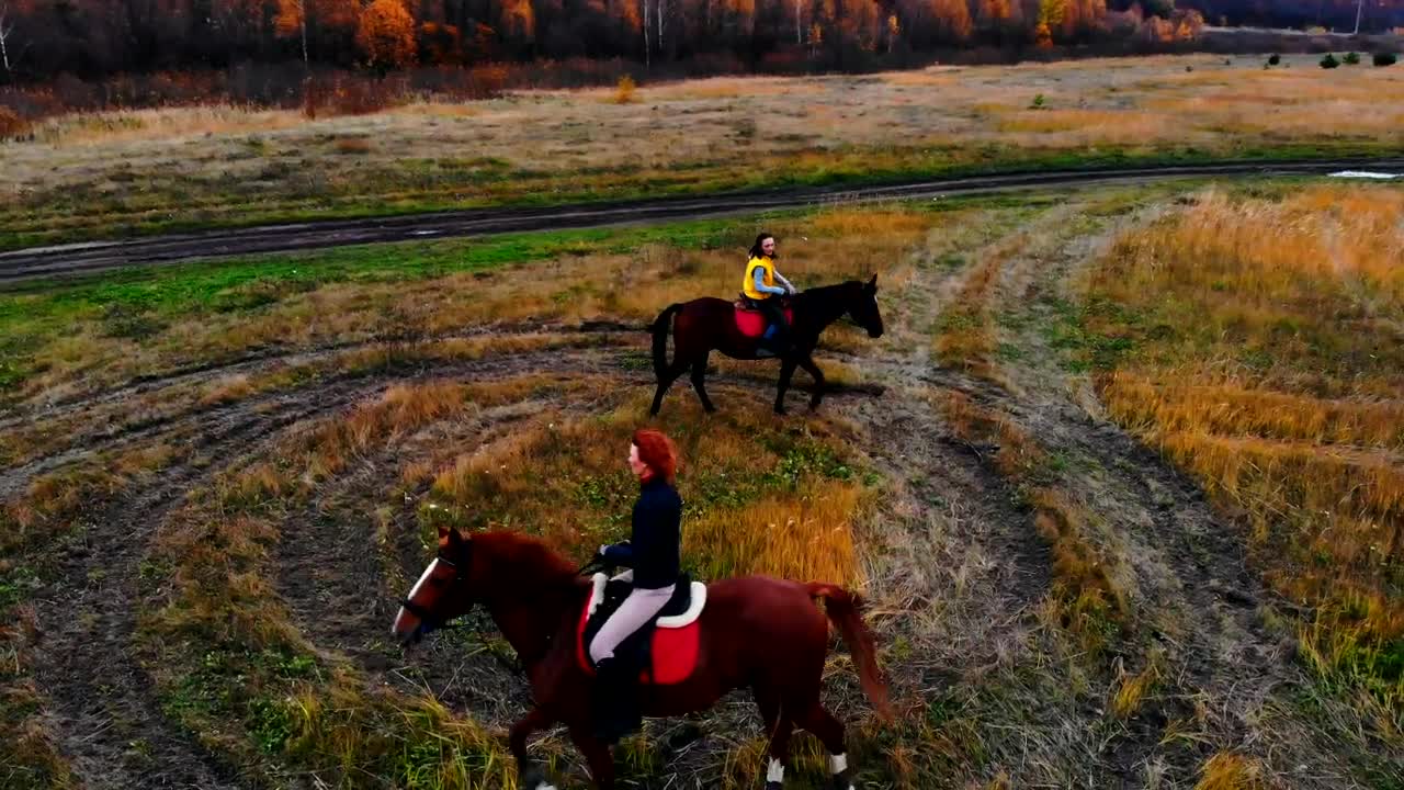 Free Stock Video Two People Riding In Circles In Nature Live Wallpaper