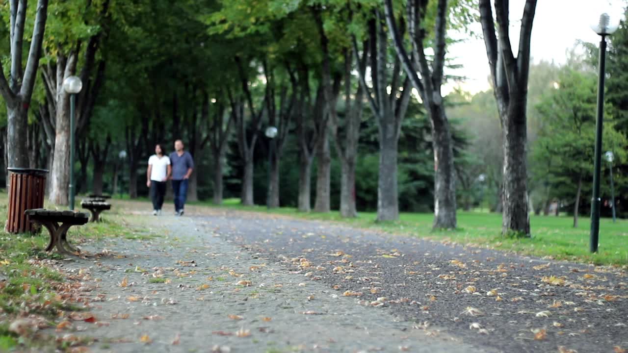 Free Stock Video Two Male Friends Walking Down A Quiet Park Live Wallpaper