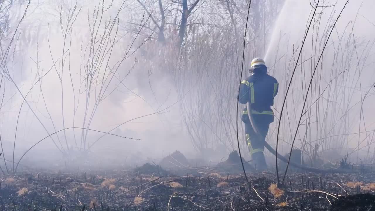 Free Stock Video Two Firefighters Distinguishing Forest Fire Live Wallpaper