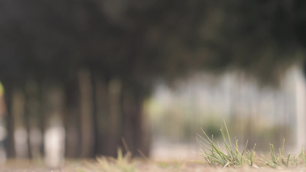 Free Stock Video Two Cyclists Biking Outdoors Live Wallpaper