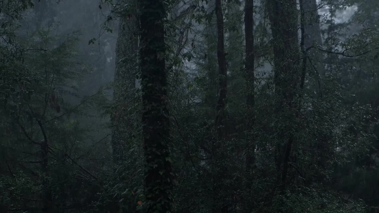 Free Stock Video Twist Wheel Transition Live Wallpaper