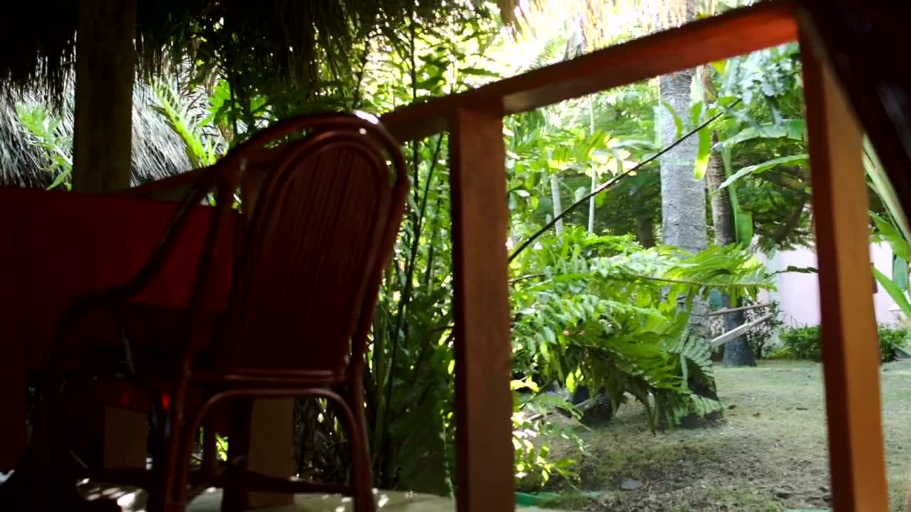 Free Stock Video Tropical Cafe On The Beach Live Wallpaper