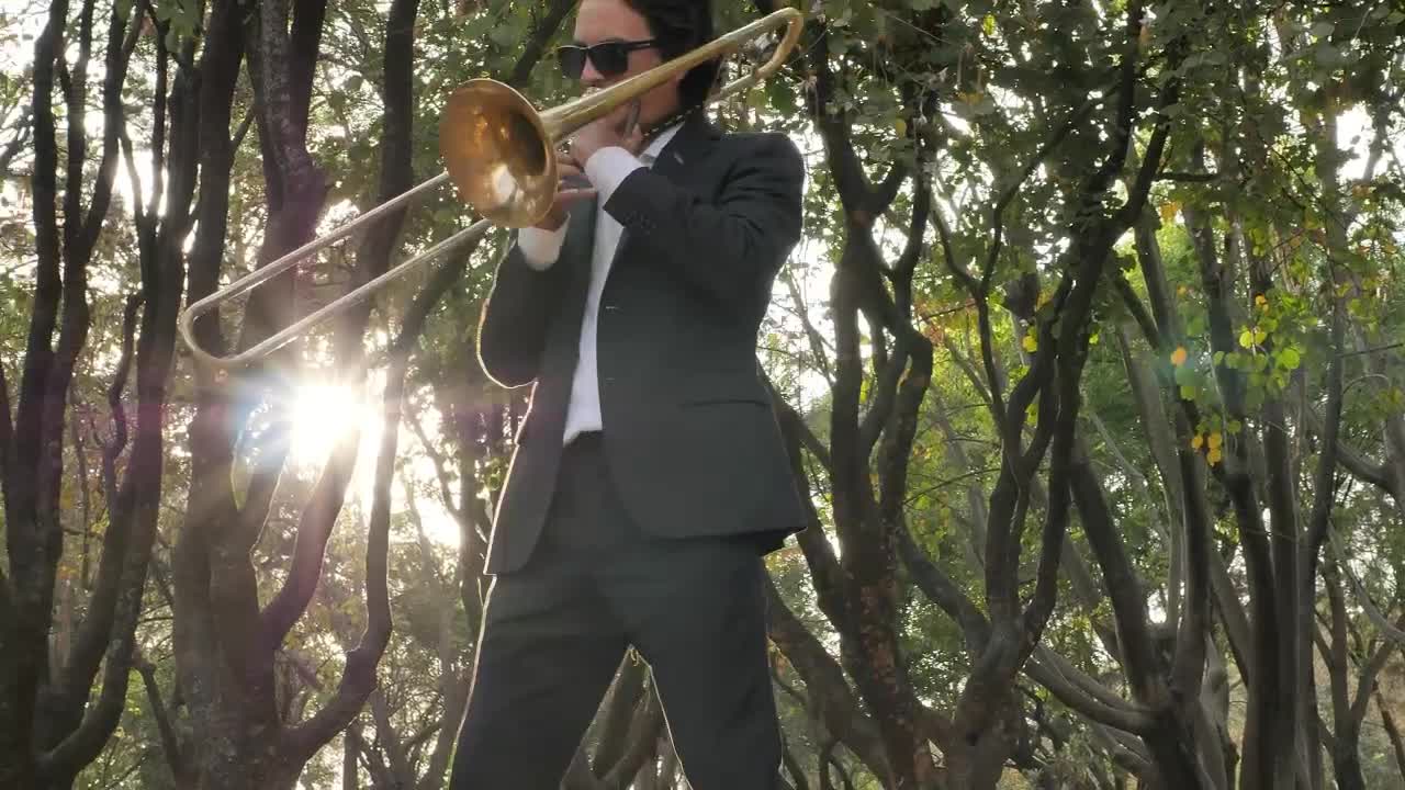 Free Stock Video Trombone Musician In The Middle Of Nature Live Wallpaper