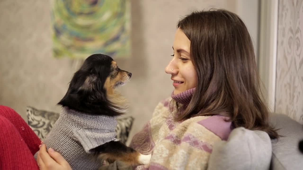 Free Stock Video Young Woman Smiles At Her Pet Live Wallpaper