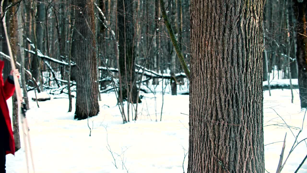 Free Stock Video Young Woman Putting Her Ski Next To A Tree In Live Wallpaper