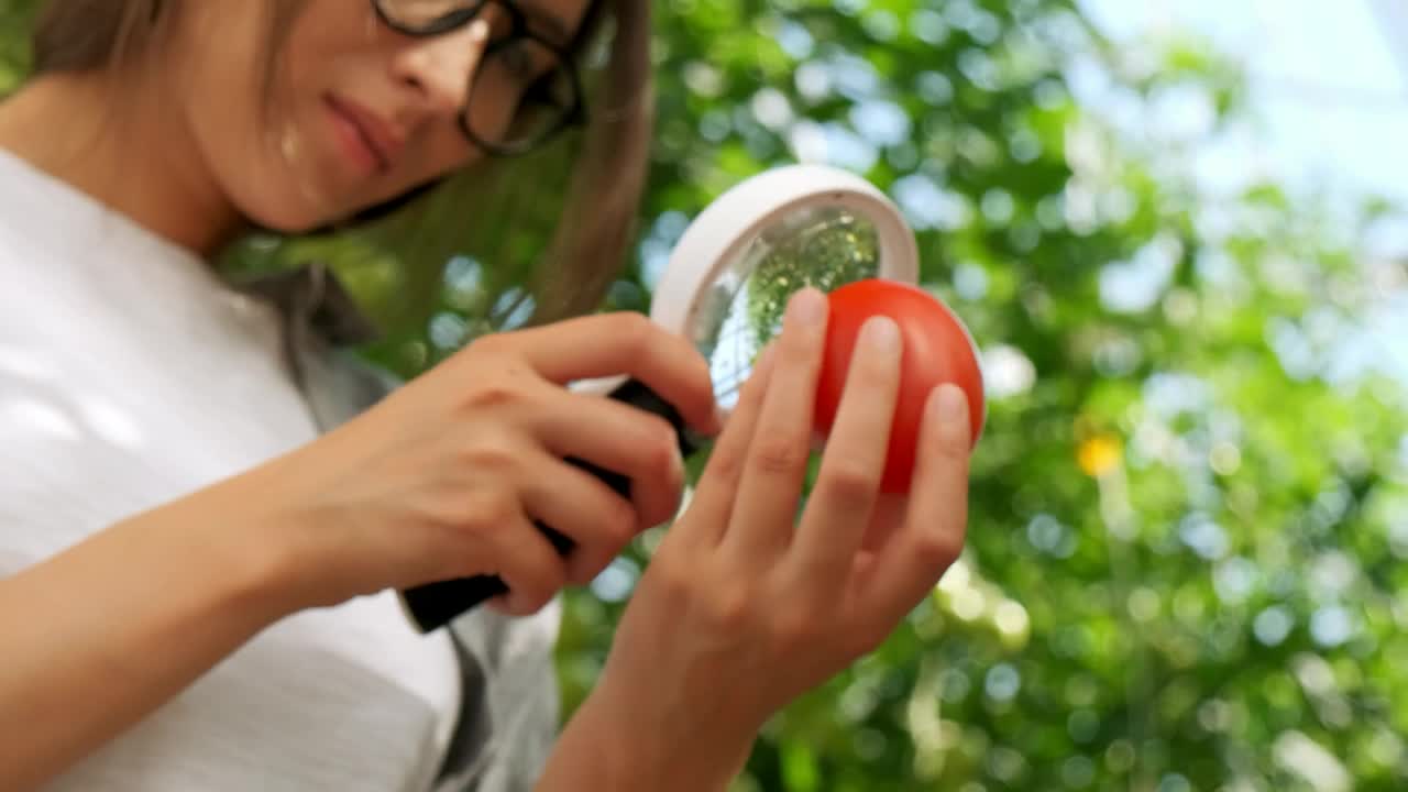 Free Stock Video Young Woman Looks At A Tomato Through A Magnifying Glass Live Wallpaper