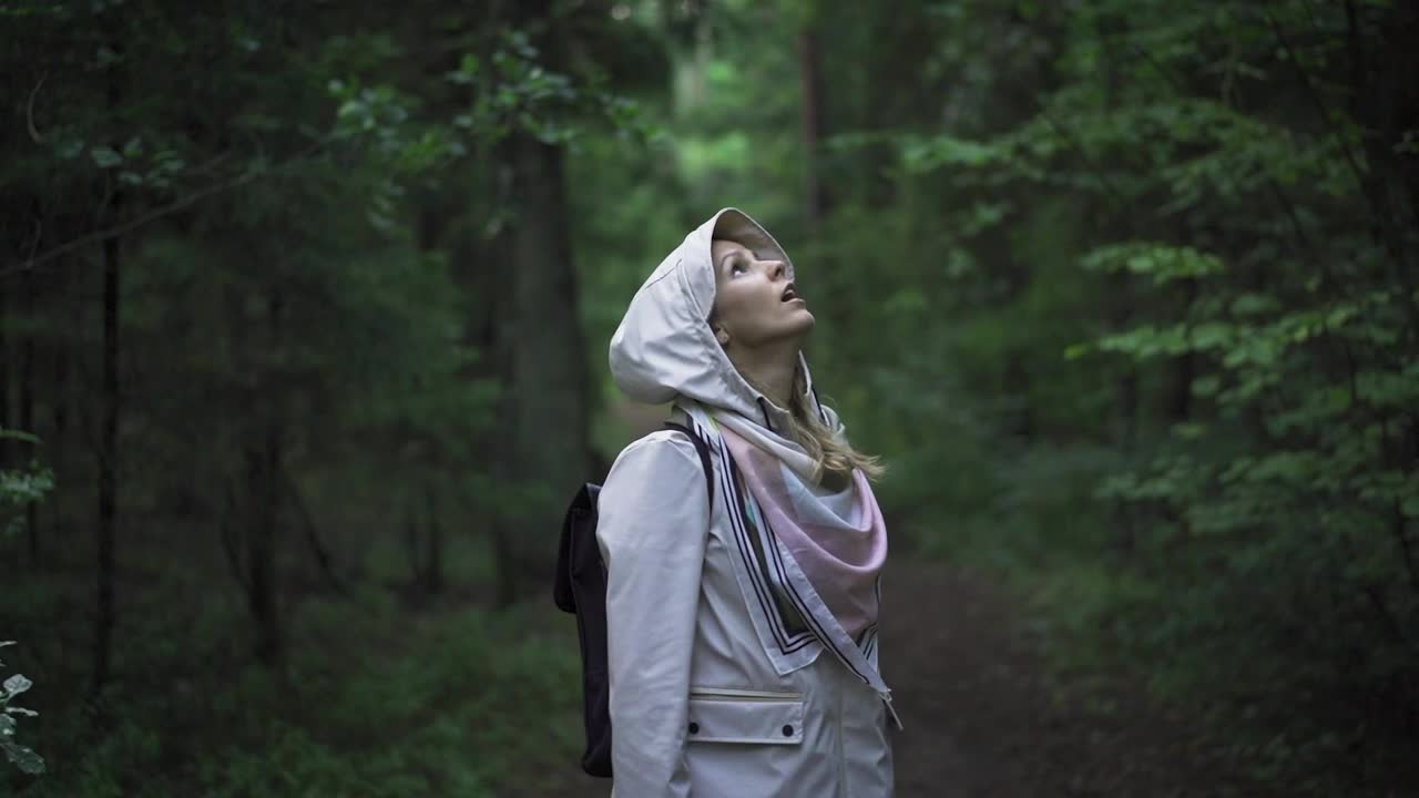 Free Stock Video Young Woman Looking Around In The Forest Live Wallpaper