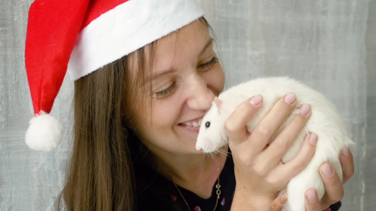 Free Stock Video Young Woman Holding A White Rat Live Wallpaper
