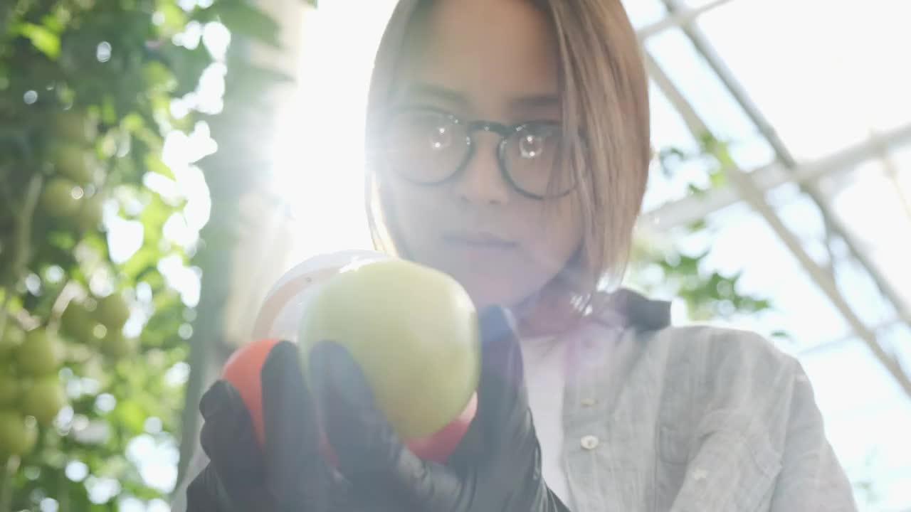 Free Stock Video Young Farmer Checking Vegetables With A Magnifying Glass Live Wallpaper