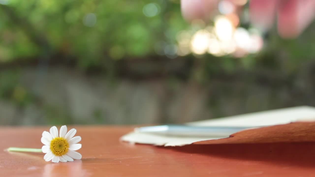 Free Stock Video Writing A Letter On A Sheet Next To A Daisy Live Wallpaper