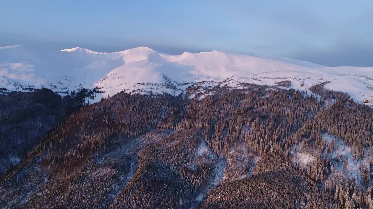 Free Stock Video Wooded Mountain With Snow Covered Top Live Wallpaper