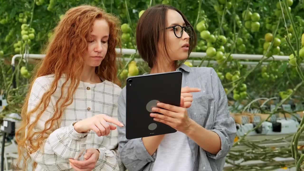 Free Stock Video Women Working In A Vegetable Greenhouse Live Wallpaper