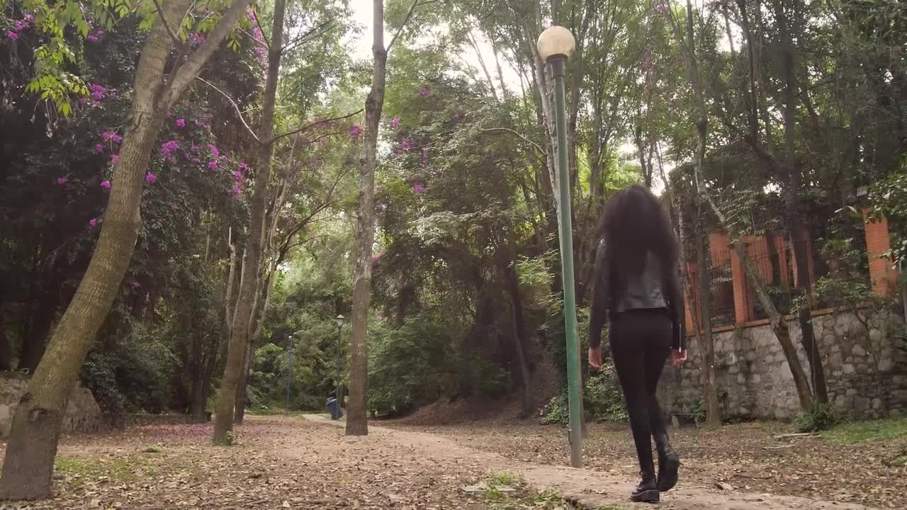Free Stock Video Woman Walking Through A Park With Dry Trees And Leaves Live Wallpaper