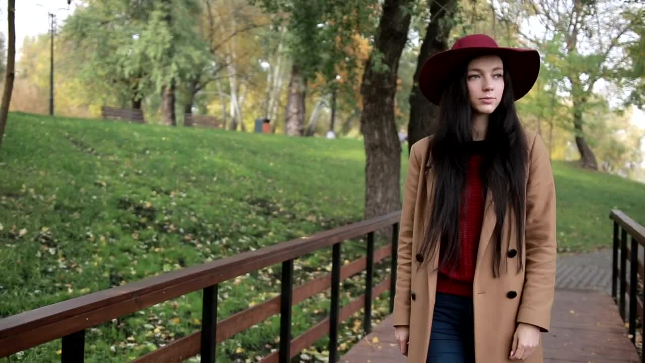 Free Stock Video Woman Walking Alone Through Park In Autumn Live Wallpaper