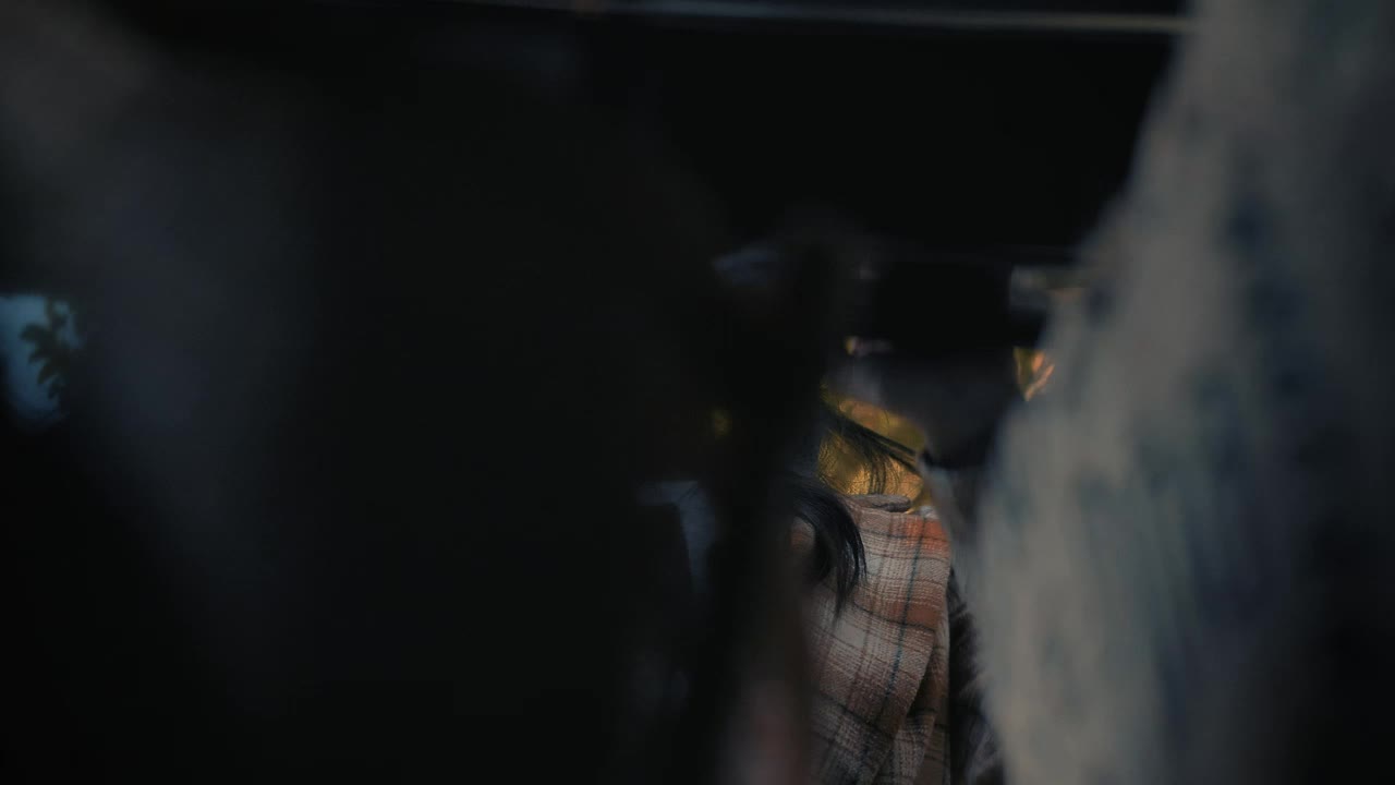 Free Stock Video Woman Taking Her Shopping Bags From A Car Live Wallpaper