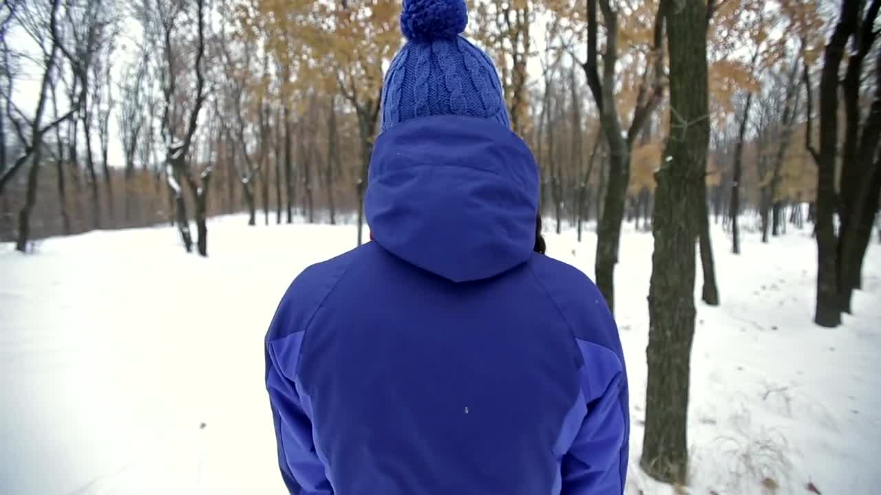 Free Stock Video Woman Taking A Walk In The Winter Forest Live Wallpaper