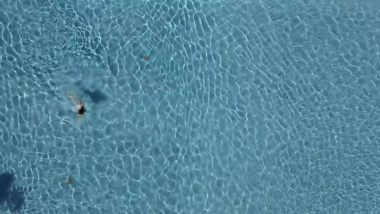 Free Stock Video Woman Swimming In The Pool Live Wallpaper