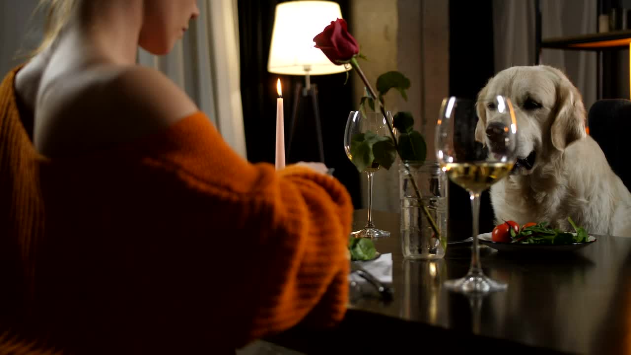 Free Stock Video Woman Sharing Her Meal With Her Dog Live Wallpaper