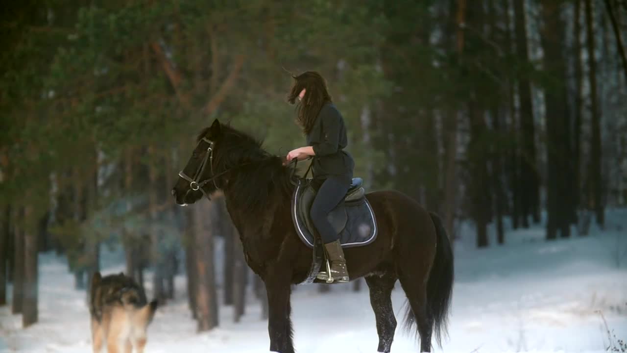 Free Stock Video Woman Riding A Horse In A Snowy Forest Live Wallpaper