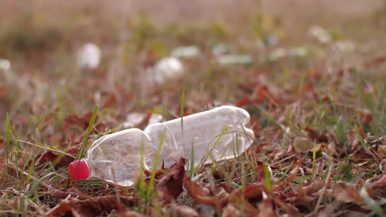 Free Stock Video Woman Lifts An Empty Bottle Off The Ground Live Wallpaper