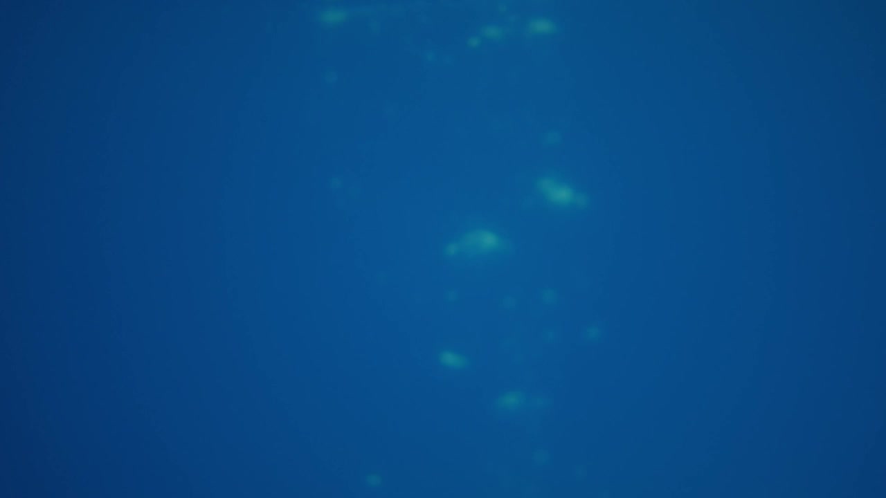 Free Stock Video Woman Comes Out Of The Water Live Wallpaper