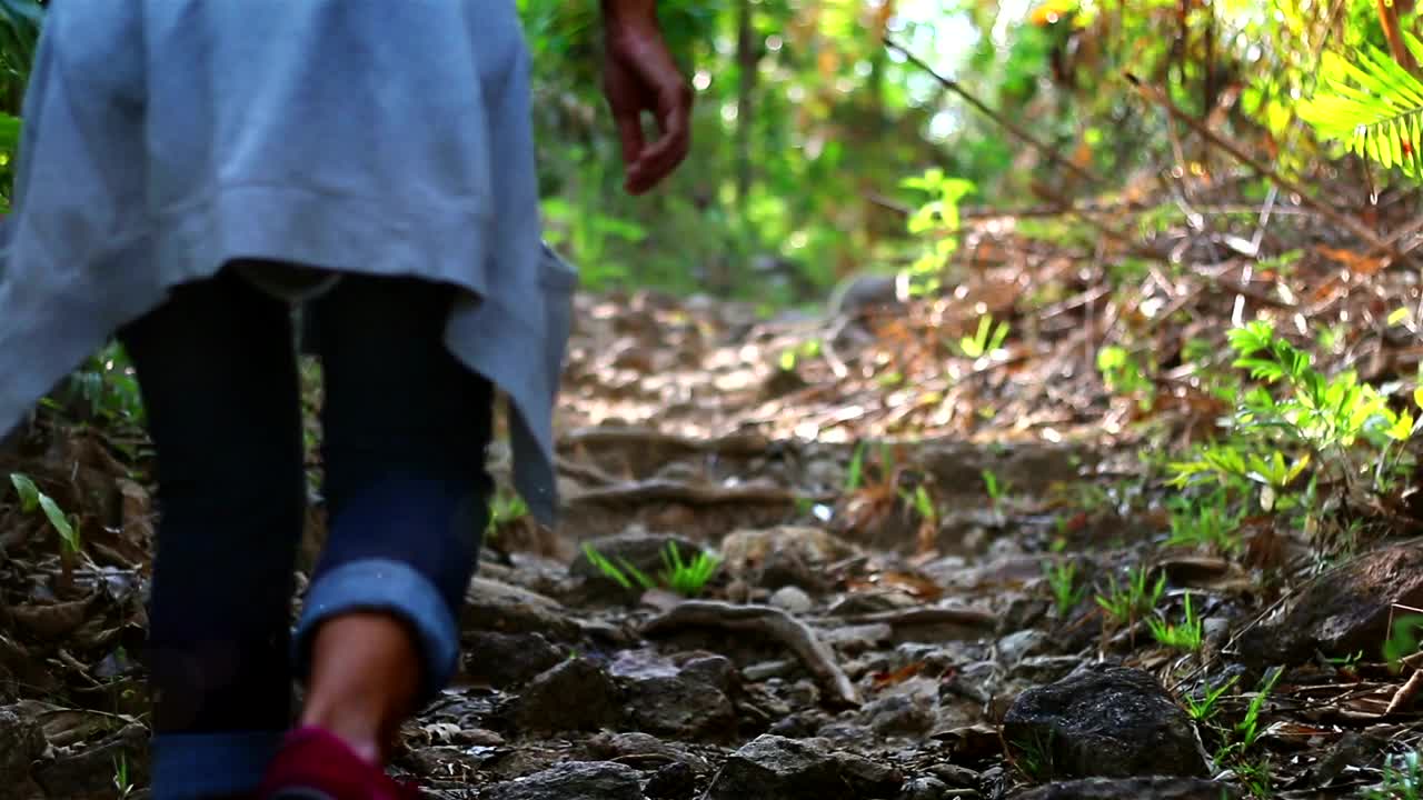 Free Stock Video Woman Climbing A Hill In The Forest Live Wallpaper