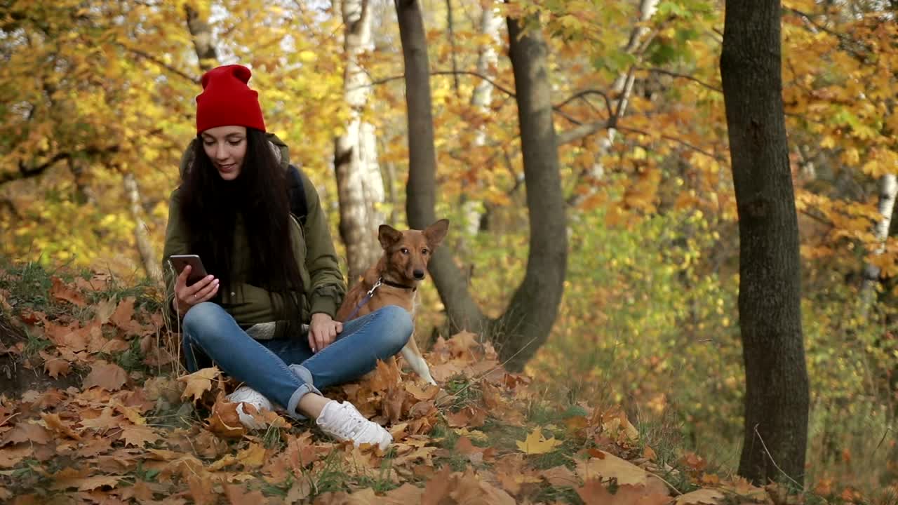 Free Stock Video Woman Checking Her Phone While Walking Her Dog Live Wallpaper