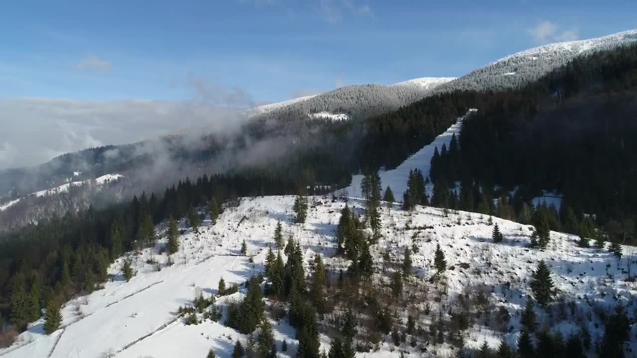 Free Stock Video Winter Snow Trees Covering Mountains Live Wallpaper