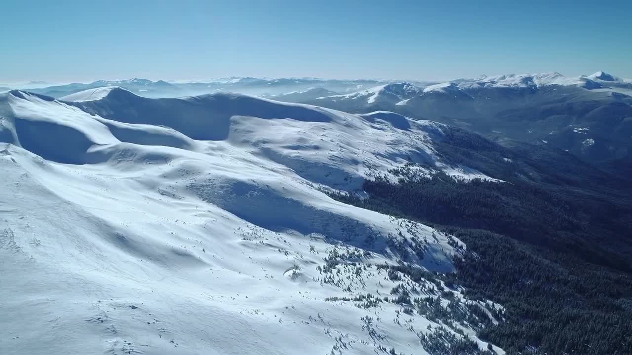 Free Stock Video Winter Nature At A Sunny Day Live Wallpaper