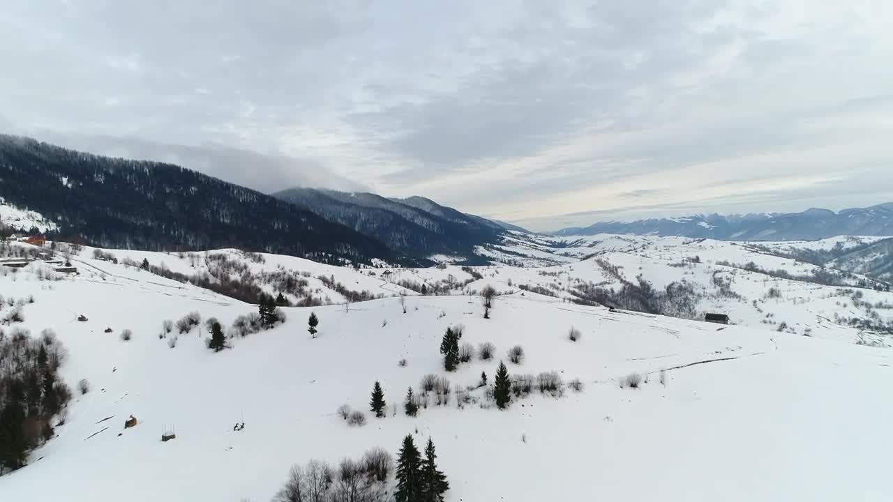 Free Stock Video Winter Forest In Ukranie Live Wallpaper