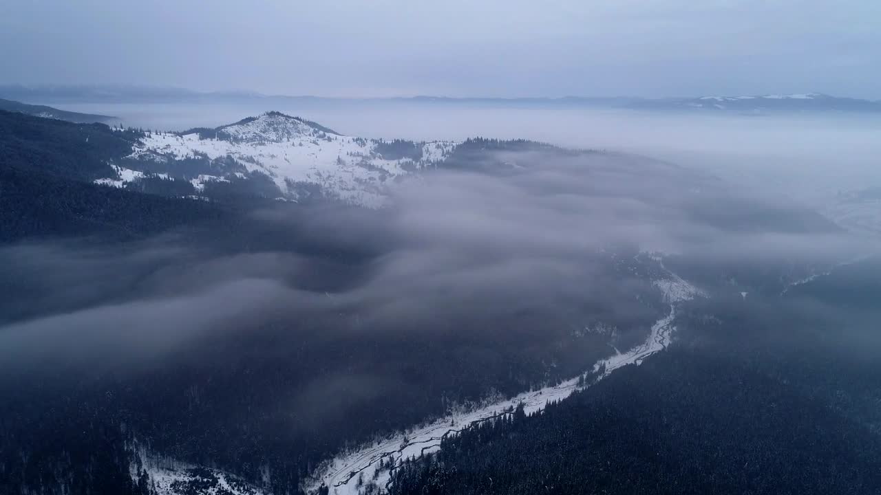 Free Stock Video Winter Forest During Sunrise Aerial View Live Wallpaper