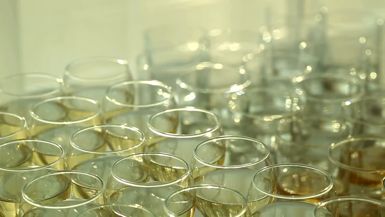 Free Stock Video Wine Glasses With Champagne Live Wallpaper