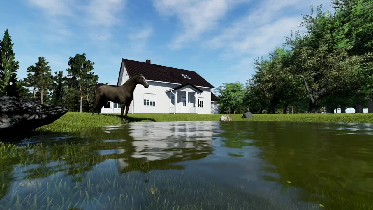 Free Stock Video Wild Horse Drinking Water Near A Lake House Live Wallpaper