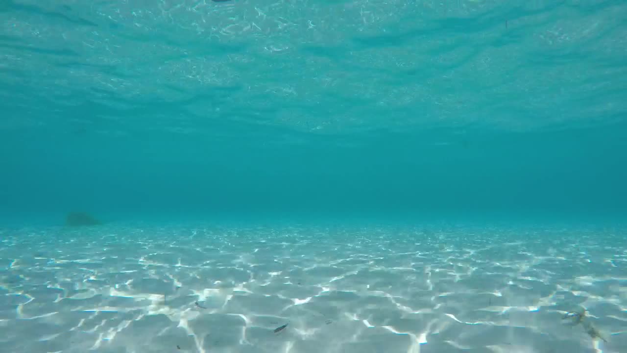Free Stock Video White Sand Below The Surface Live Wallpaper