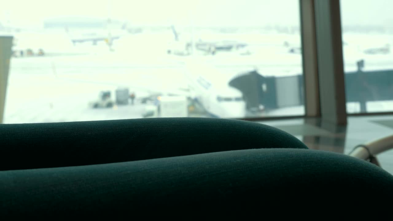   Stock Footage Woman Checking Her Passport Live Wallpaper