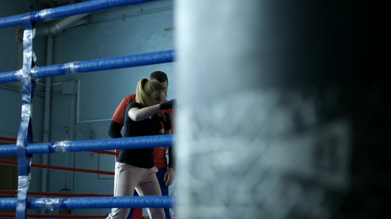   Stock Footage Woman Boxing With A Punching Bag Live Wallpaper