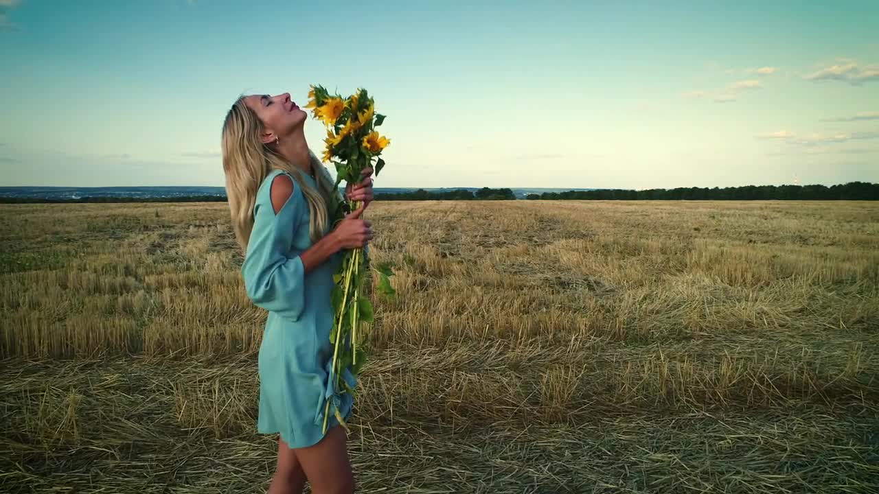   Stock Footage Woman And Sunflowers In The Dry Field Fashion Concept Live Wallpaper