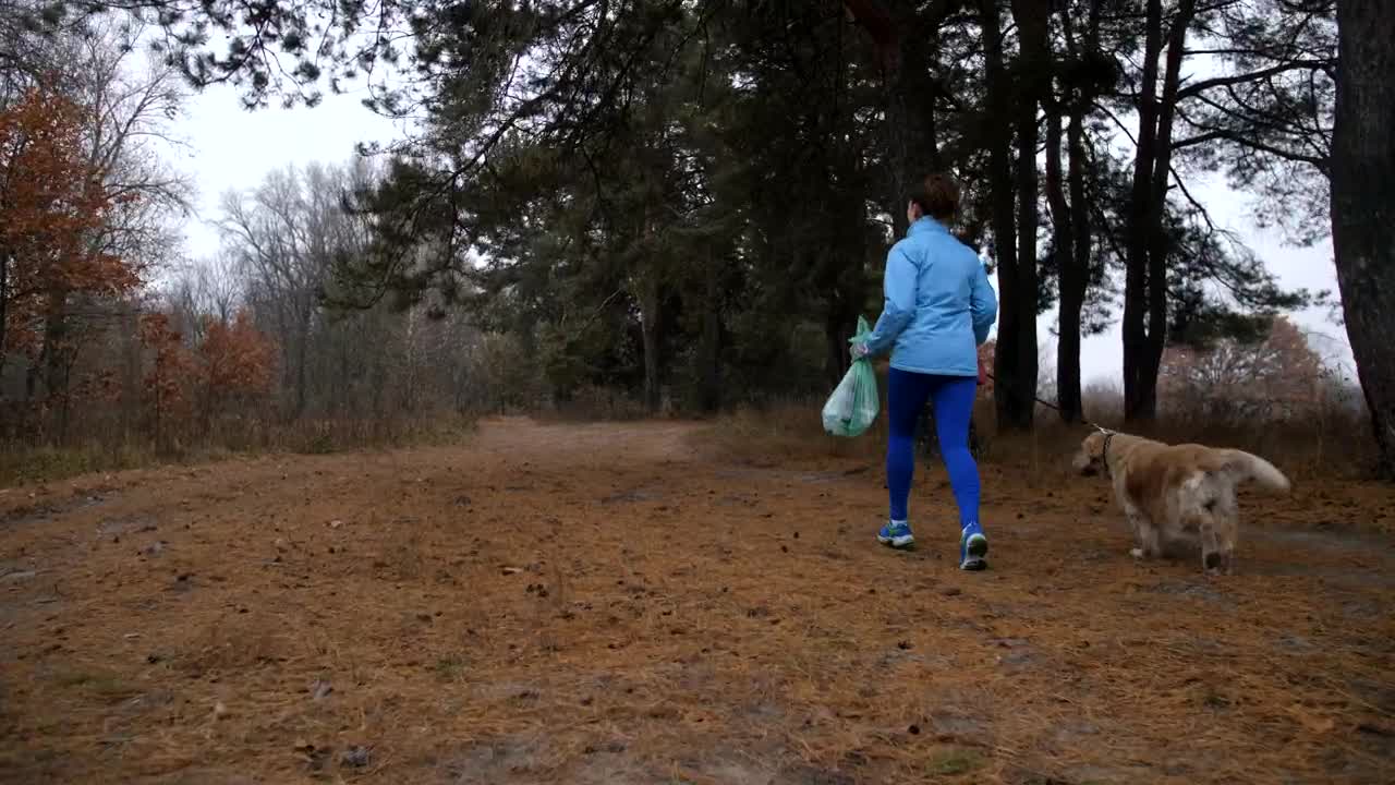   Stock Footage Woman And Her Dog Cleaning Woodland Live Wallpaper