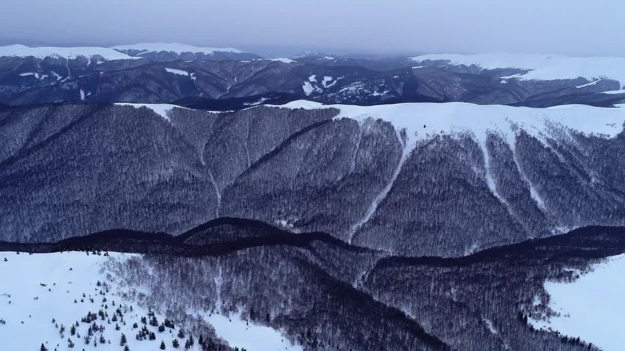   Stock Footage Winter Mountains With Lots Of Vegetation Live Wallpaper