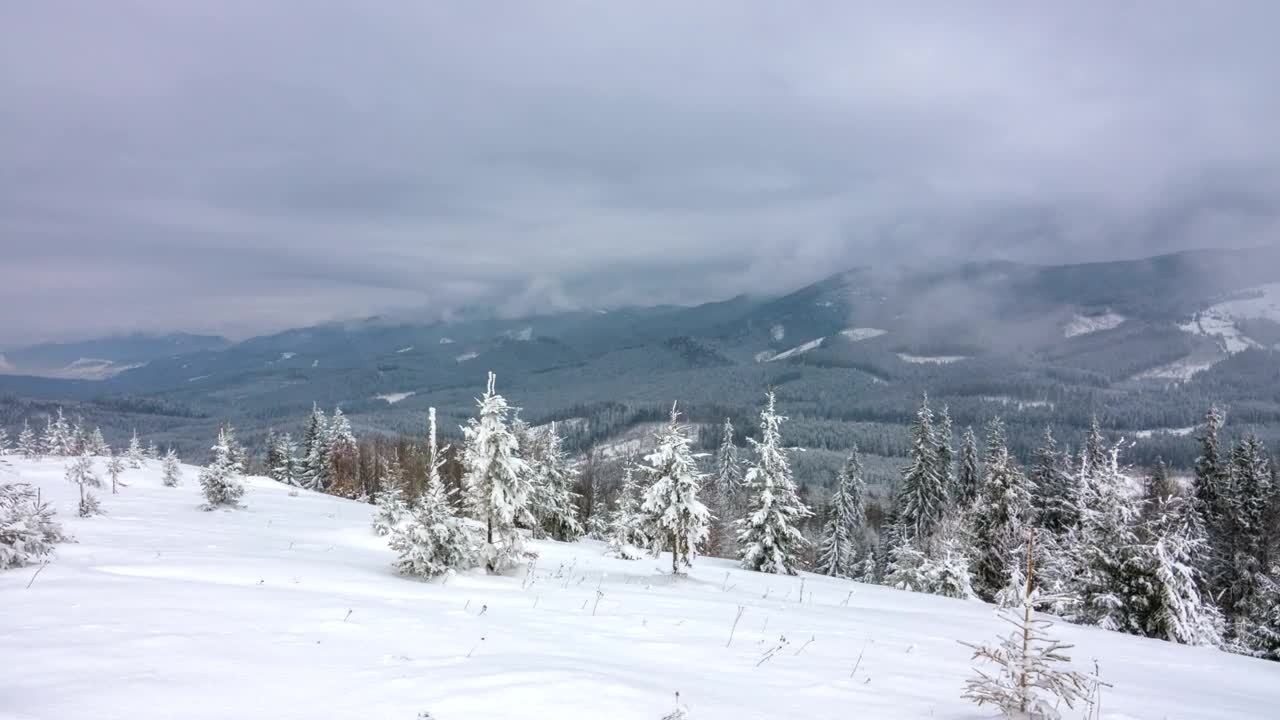   Stock Footage Winter Landscape In The Mountain Live Wallpaper