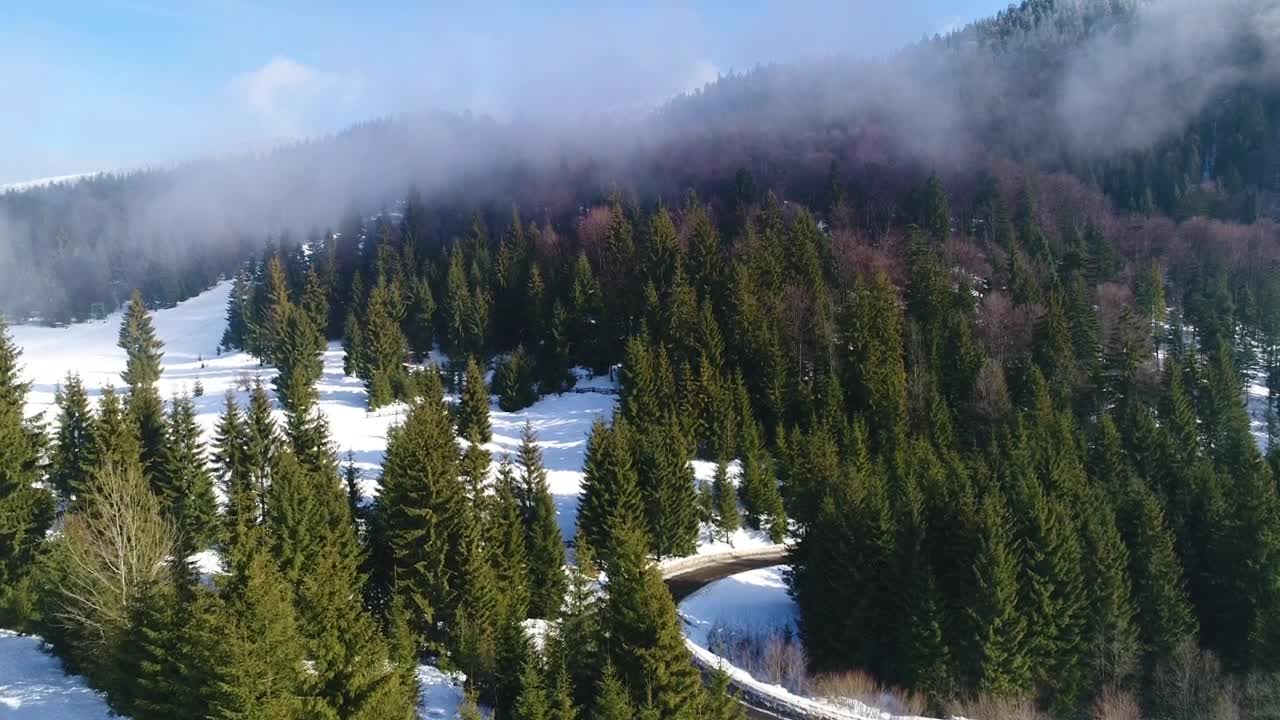   Stock Footage Winter Forest Across A Highway Live Wallpaper