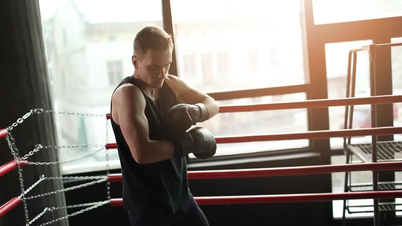   Stock Footage Winner Prepares For Boxing Match In Ring Live Wallpaper
