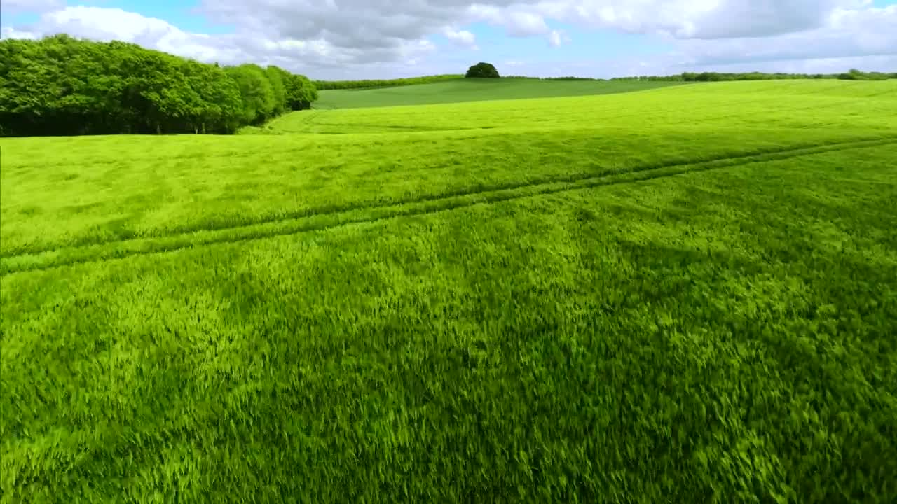   Stock Footage Windswept Grasslands Live Wallpaper