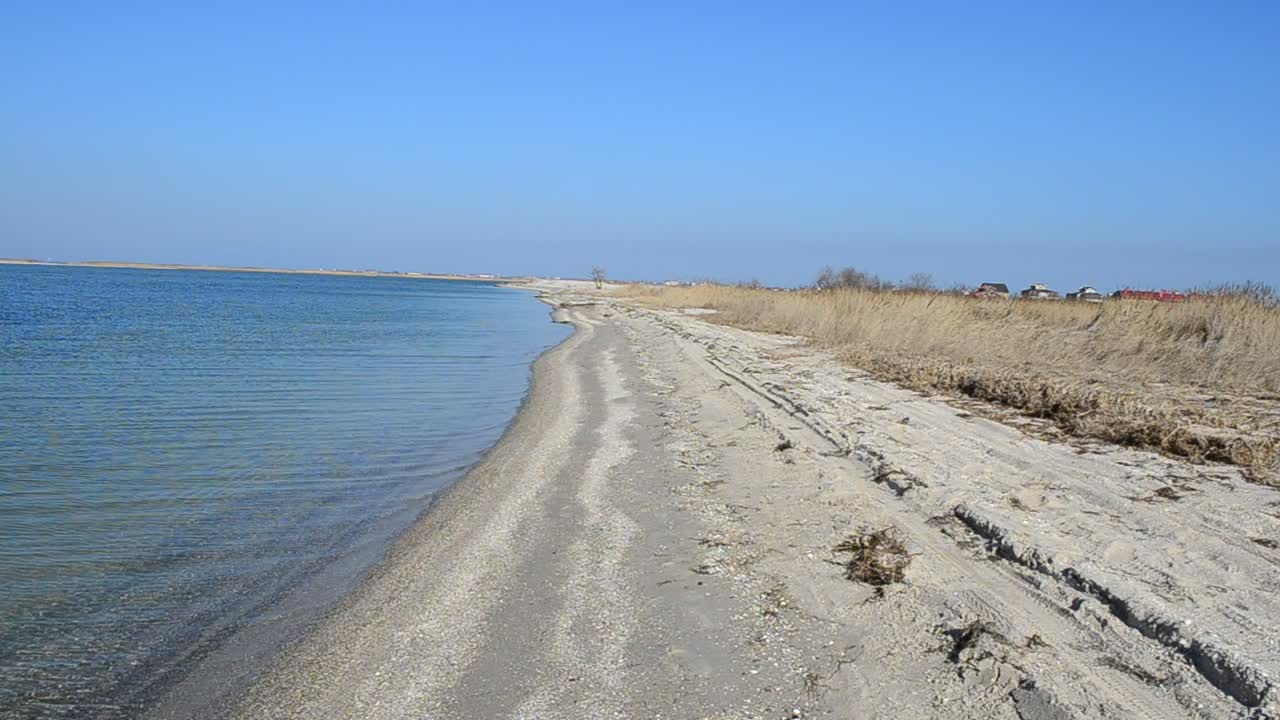   Stock Footage Windswept Coastline Live Wallpaper