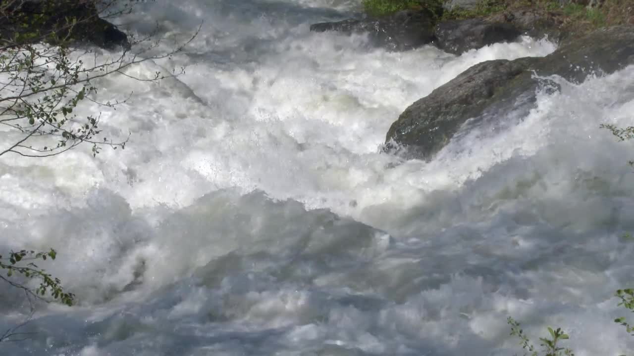   Stock Footage Wild River Rapids Live Wallpaper