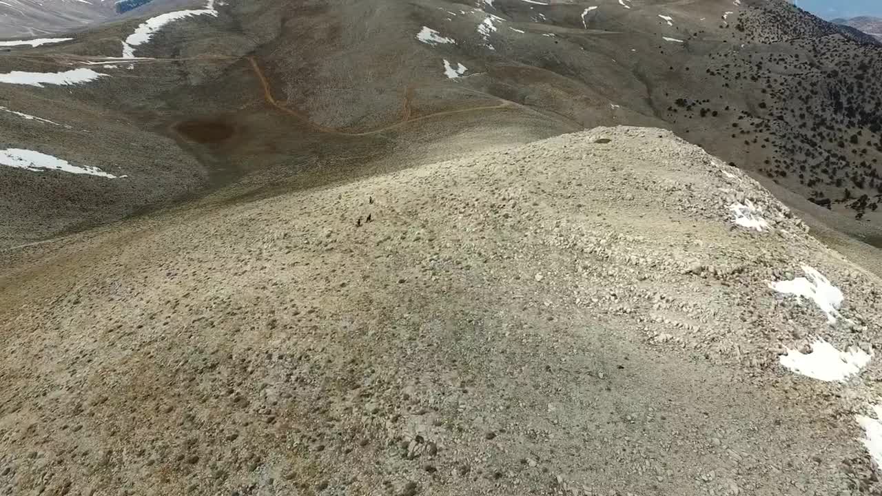   Stock Footage Wild Horses Running In The Top Of A Mountain Live Wallpaper